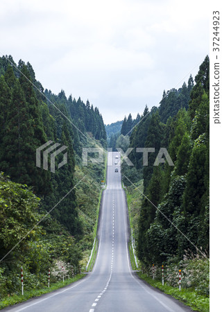 上下穿過樹林的道路 37244923