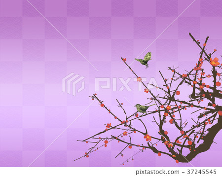Ume no Ugui early spring 37245545