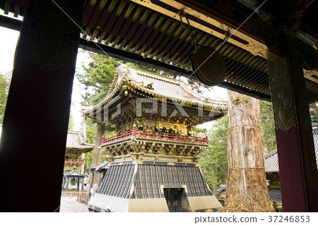 從Nikko Toshogu Honjido看見的鼓塔 37246853