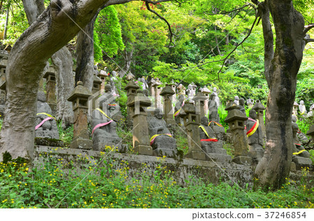 富山鳥羽的五百羅漢 37246854