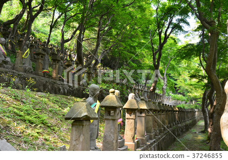 富山鳥羽的五百羅漢 37246855