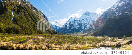 新西蘭峽灣國家公園猴子溪 37249504