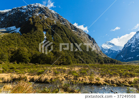 New Zealand Fiordland National Park Monkey Creek New Zealand Fiordland National Park Monkey Creek 37249508