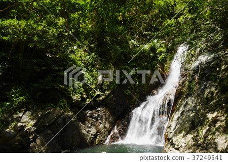 沖繩島 沖繩島 37249541