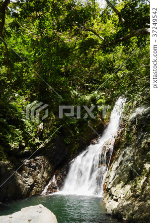 沖繩島 沖繩島 37249542