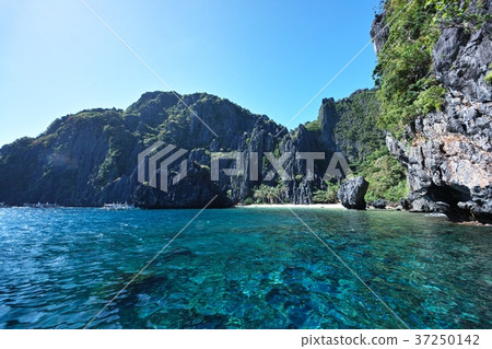 Sea of the tropics 37250142