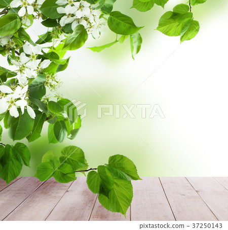 Spring Background with Empty Wooden Table 37250143