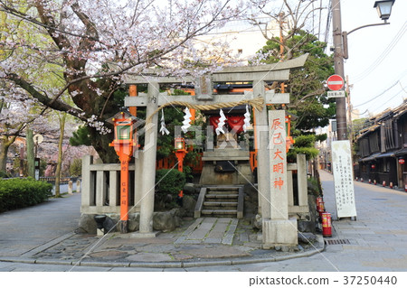 Kyoto Spring Gion Shirakawa Ruri Daimyojin Kyoto Spring Gion Shirakawa Ruri Daimyojin 37250440