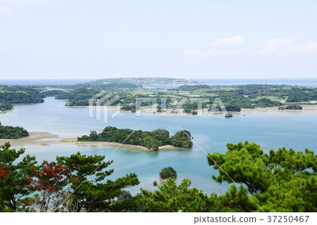 沖繩島 37250467