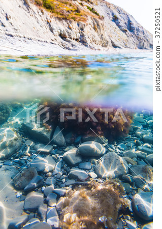 Sun rays and seaweed on stones in underwater Sun rays and seaweed on stones in underwater 37250521