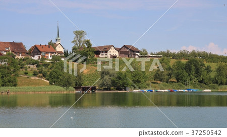 Summer day at lake Pfaeffikon. 37250542
