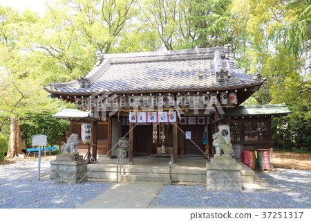 京都神社 京都神社 37251317