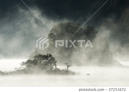 秋元湖的小樹林籠罩在早晨的陽光下 37251672