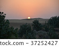 Desert Grass and Sunrise India Beginning of the Day 37252427