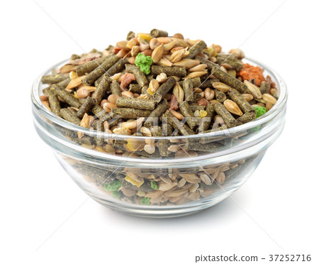 Bowl of compound rodents feed 37252716