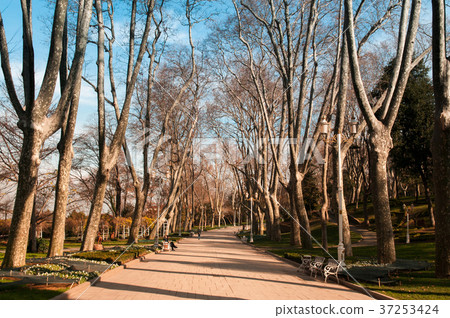 Gulhane park, Oldest public park in istanbul Gulhane park, Oldest public park in istanbul 37253424