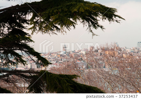 View of Galata Tower from Topkapi palace Istanbul 37253437