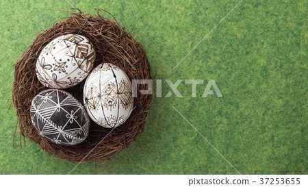 Easter eggs in the nest on green background 37253655