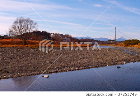 [Tama, Togashi Hakkei] Mount Fuji and Fureaibashi (Hino City, Tokyo) 37253749