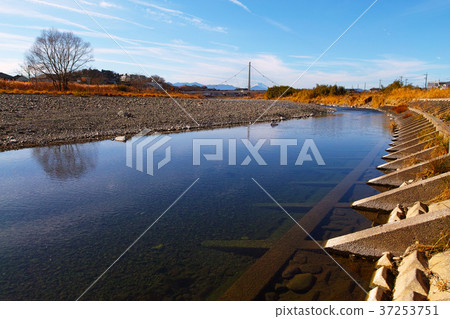 [Tama, Togashi Hakkei] Mount Fuji and Fureaibashi (Hino City, Tokyo) 37253751