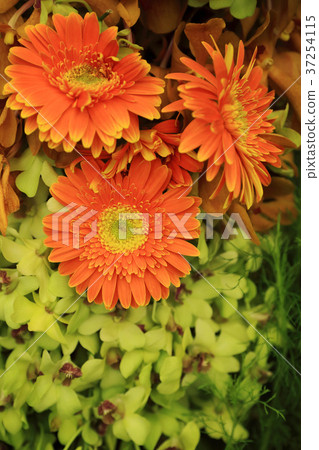 Orange and green gerbera and orchid floral bouquet Orange and green gerbera and orchid floral bouquet 37254115