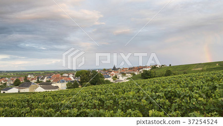 Villers-Marmery in Champagne 37254524