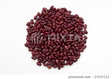 金豆 金豆 37255111