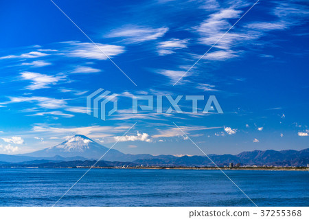 《Kanagawa Prefecture》Scenery of the Shonan coast overlooking Mt. Fuji 《Kanagawa Prefecture》Scenery of the Shonan coast overlooking Mt. Fuji 37255368