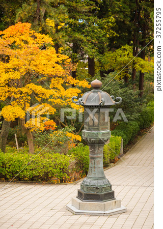View around Zenkoji temple 37255795