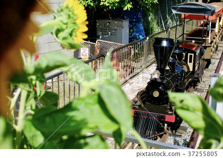 仲夏青梅鐵路公園 37255805