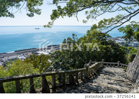 View of the Suruga Bay seen from Kunozan Toshogu Shrine 37256141
