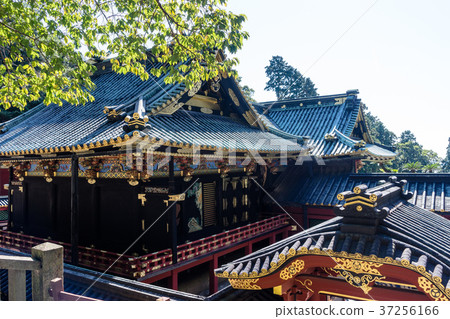 Kunozan Toshogu Shrine 37256166