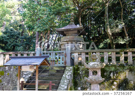 Kunosan Toshogu Shinjo 37256167