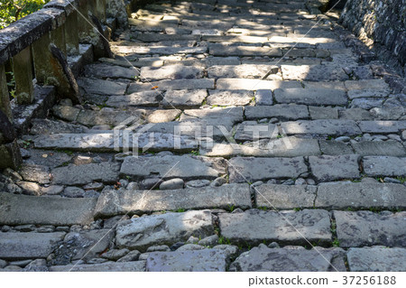 Stone stairs of Kunosan Toshogu Omotesando Stone stairs of Kunosan Toshogu Omotesando 37256188