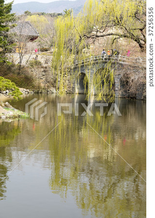 Bulguksa寺(歷史遺址第502號),Tohamsan,Gyeongju,Gyeongbuk Bulguksa寺(歷史遺址第502號),Tohamsan,Gyeongju,Gyeongbuk 37256356