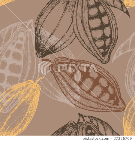 Cocoa hand drawn seamless pattern. Vector Cocoa hand drawn seamless pattern. Vector 37256709