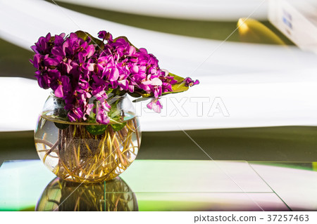 Bouquet of violet flowers or Viola Odorata in bowl 37257463