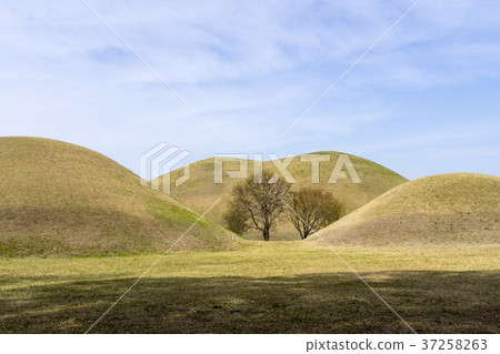 Daeleung, Gyeongju, Gyeongbuk Daeleung, Gyeongju, Gyeongbuk 37258263