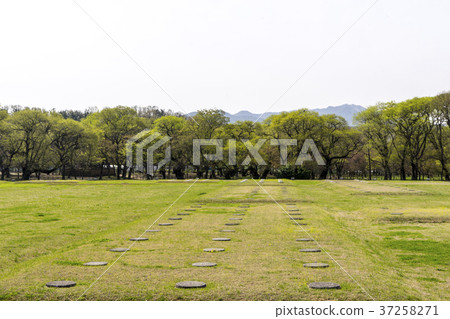 Gyeongju Eastern Historic Site (Historic Site No. 161), Gyeongju City, Gyeongbuk Province 37258271