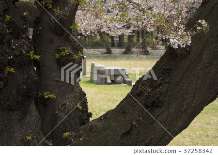 Daeleung, Gyeongju, Gyeongbuk 37258342