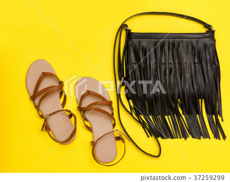 Fashionable concept. Women's handbag Fashionable concept. Women's handbag 37259299