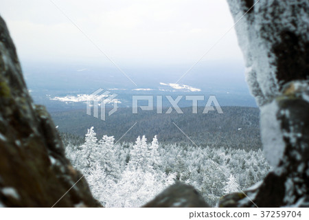 view of the winter wooded hills  37259704