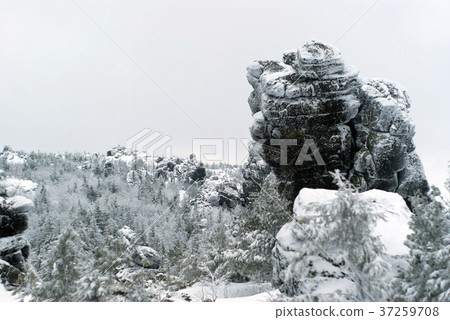 winter at the top of the mountain 37259708