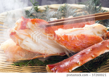 煮沸的螃蟹臭蟲 37260021