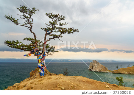 Ritual tree with colorful ribbons Hadak 37260098