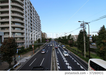 環形八通線 37260431