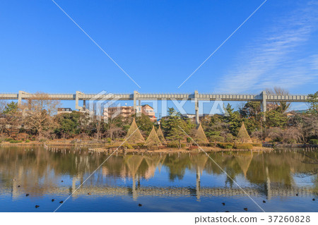 Scenery in Chiba city in winter 37260828