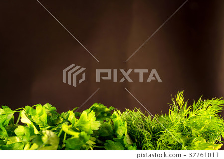 Background of various greens with copyspace 37261011