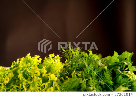 Background of various greens with copyspace 37261014