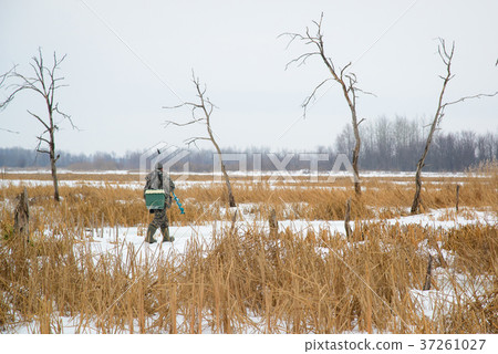 Fisherman is walking on lake at winter, ice 37261027